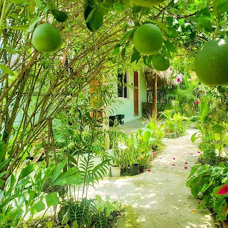 Las Palmas Bacalar Hotel Exterior photo