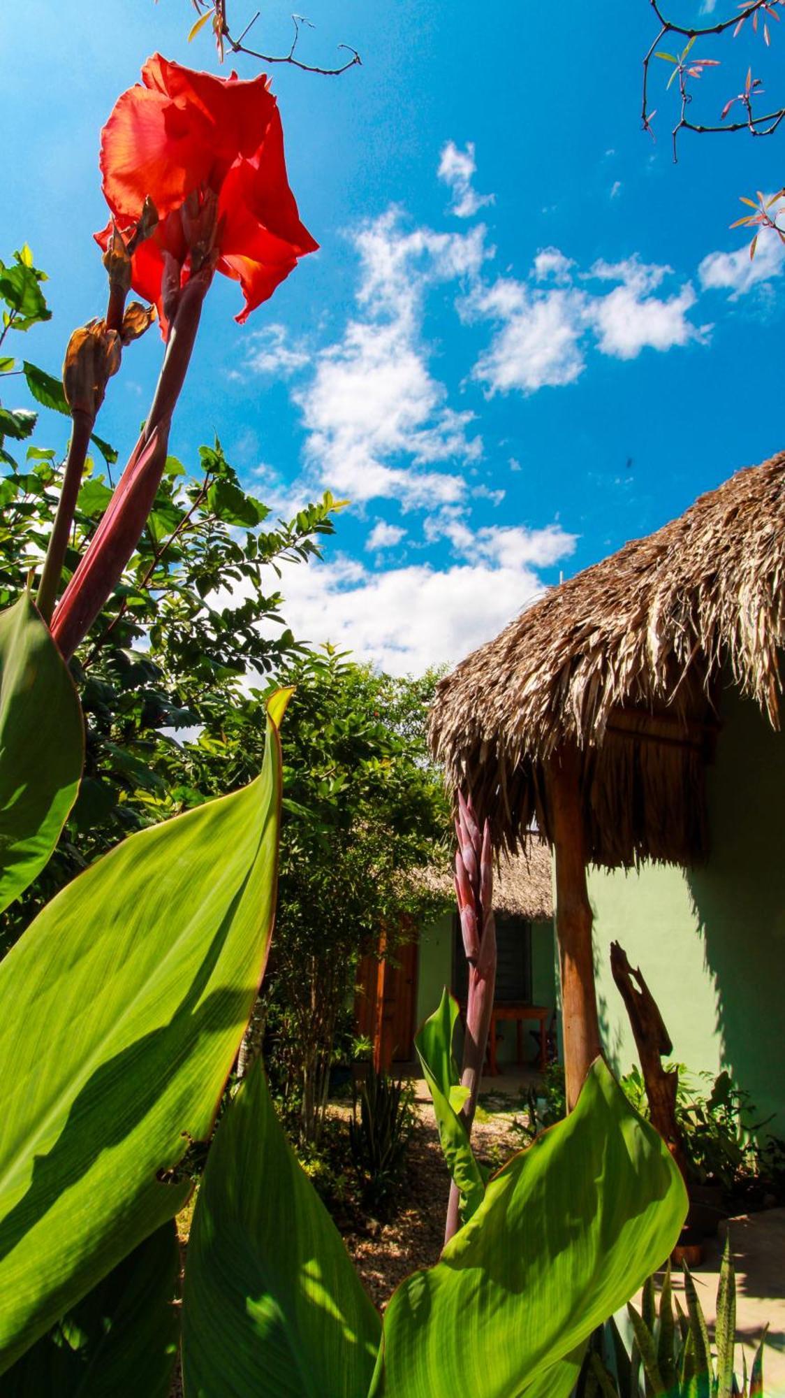 Las Palmas Bacalar Hotel Exterior photo