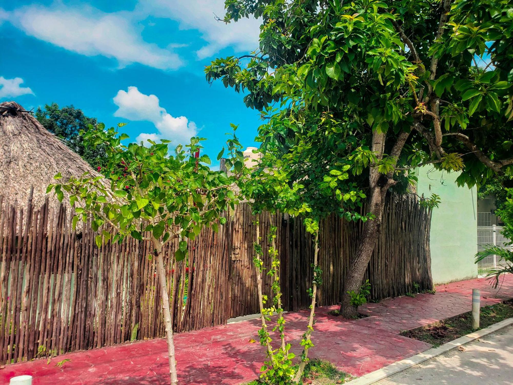 Las Palmas Bacalar Exterior photo